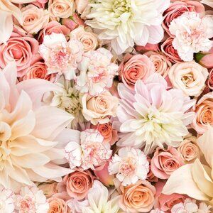 Meet your Posher, Camilla